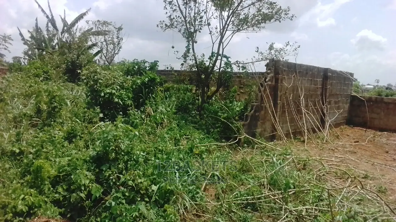 Half Plots of Land at Olowora, Ojodu Berger for Sale. in Ojodu
