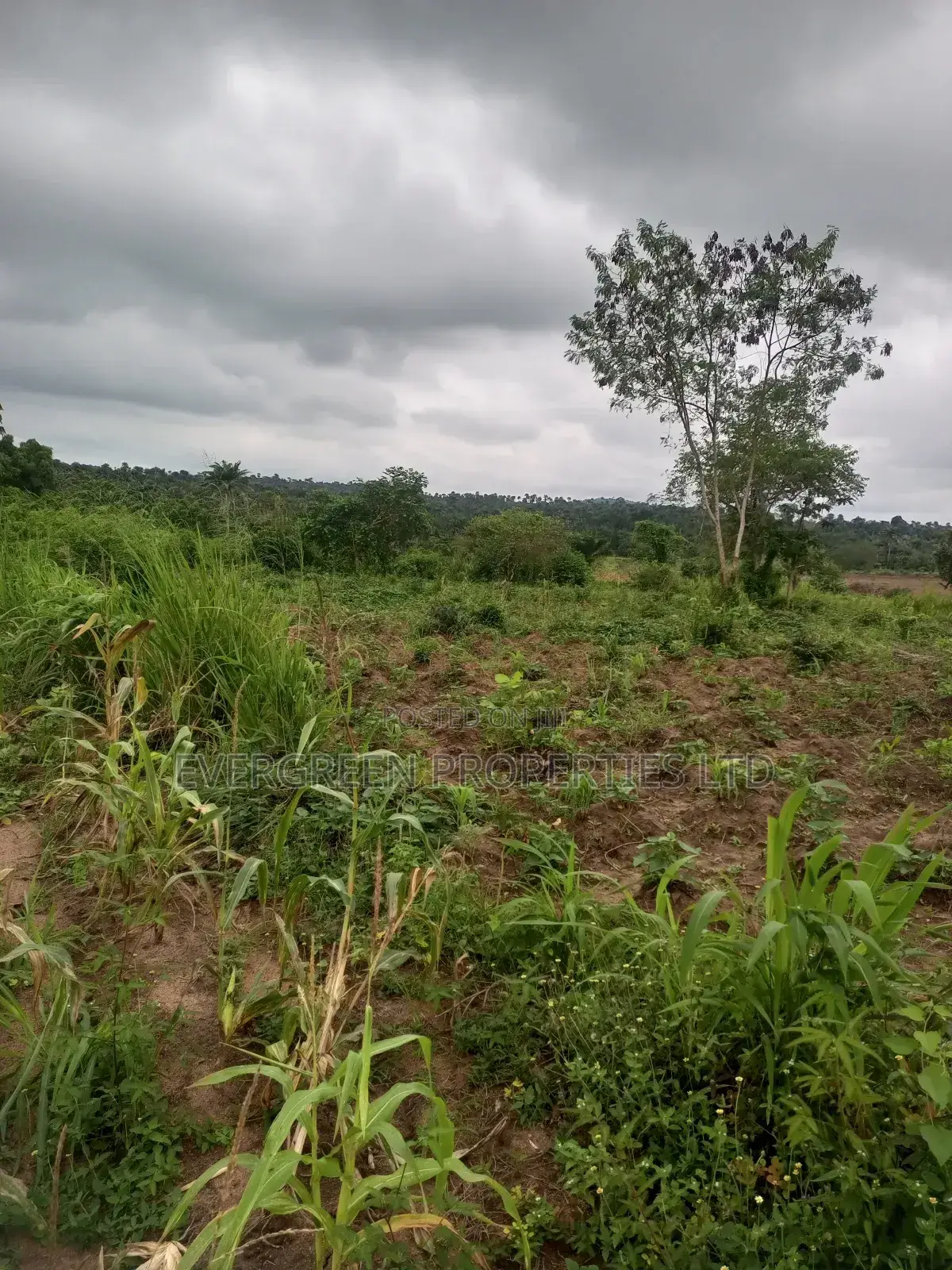 Plot of Land in Moniya Ibadan in Moniya