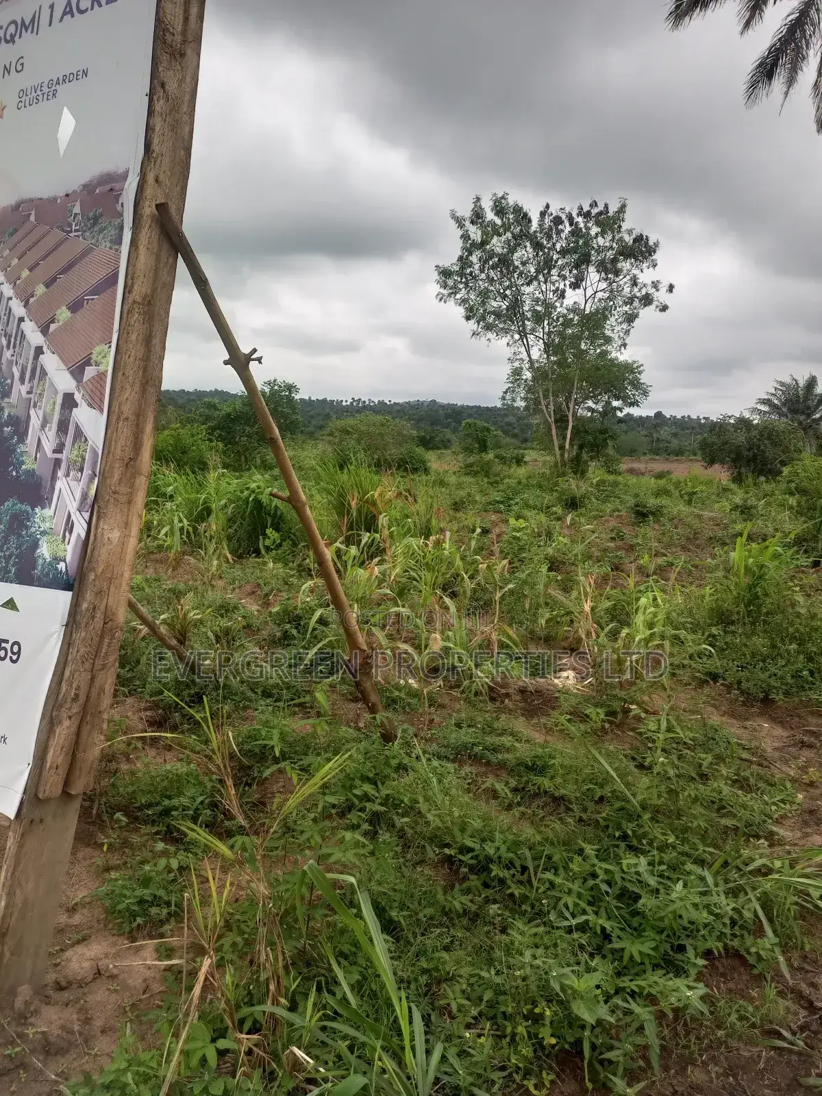Plot of Land in Moniya Ibadan in Moniya