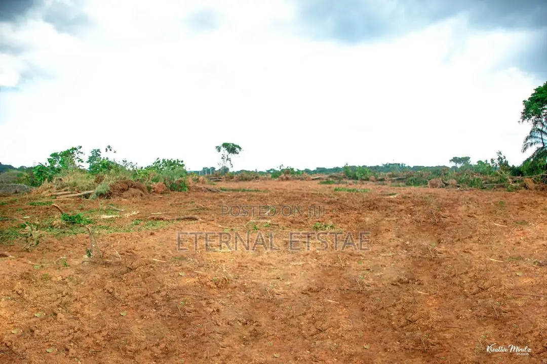 Fast Selling Affordable Estate in Enugu