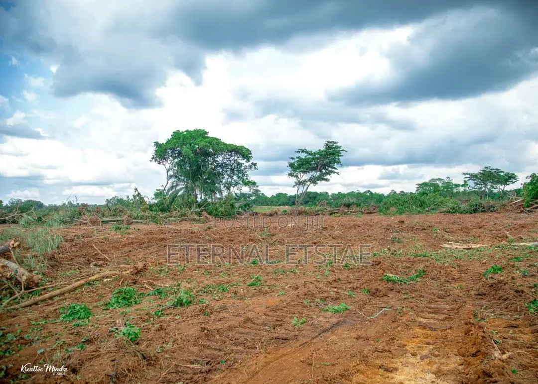 Fast Selling Affordable Estate in Enugu