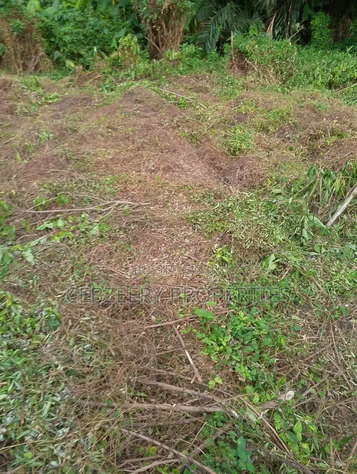 K-Farm Estate in Oke-Ira / Ogba