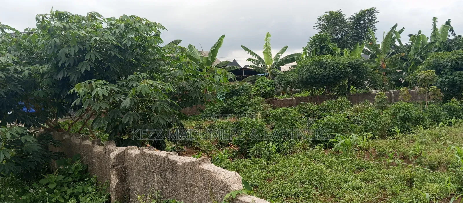 For Sale: 2 Fenced Plots , on Major Sars Rd in Port-Harcourt