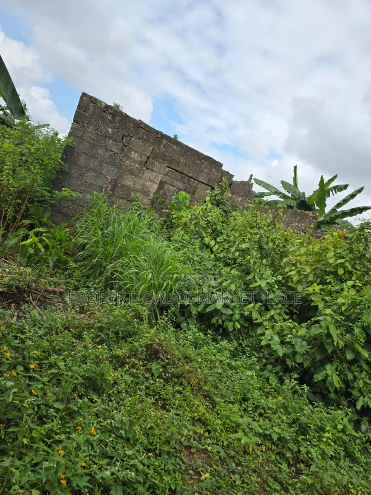 Be a Land/Property Owner Today in Ayobo