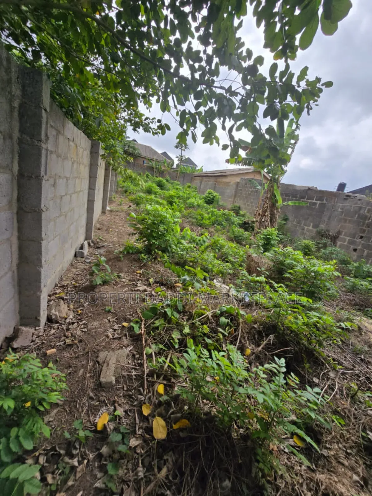 Dry Virgin for Sale in a Good Location Within Alimosho Lga in Ayobo