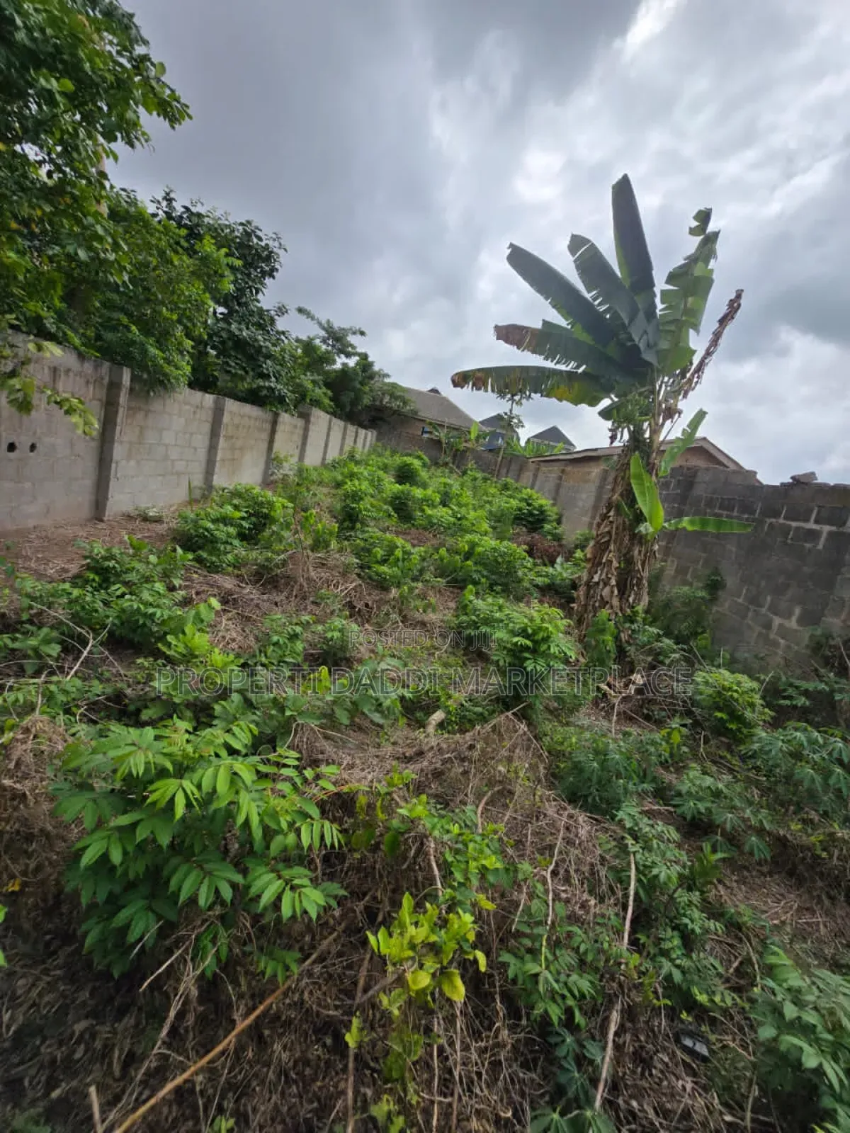 Dry Virgin for Sale in a Good Location Within Alimosho Lga in Ayobo