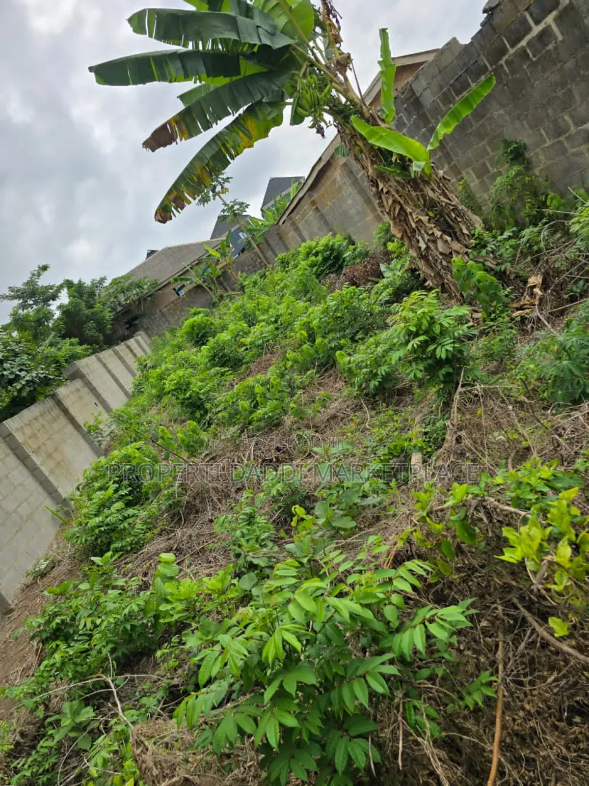 Dry Virgin for Sale in a Good Location Within Alimosho Lga in Ayobo