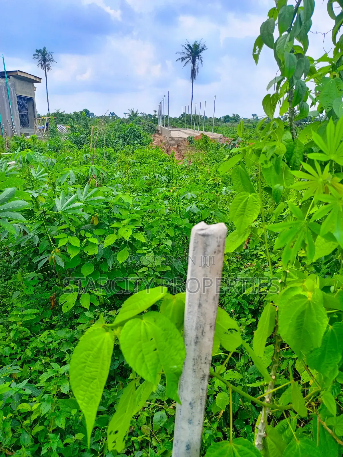 2 Acres of Fertile Land Available for Rent in Imota Ikorodu in Ikorodu