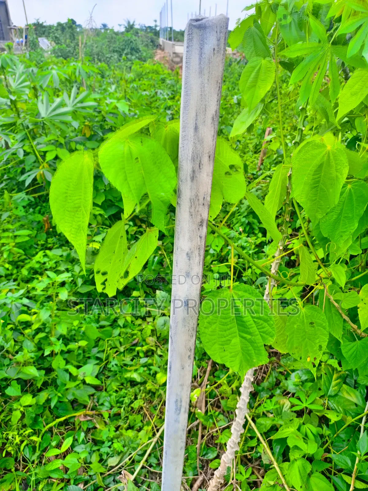 2 Acres of Fertile Land Available for Rent in Imota Ikorodu in Ikorodu
