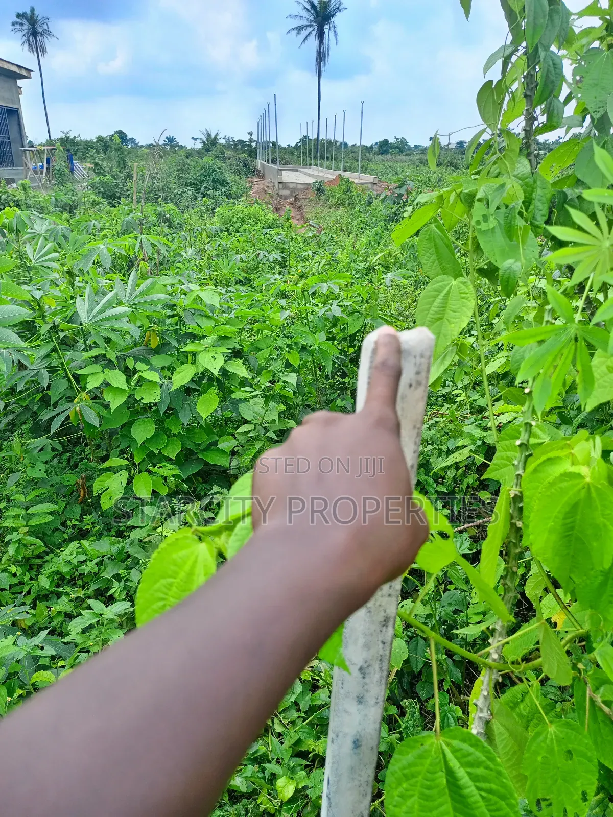 2 Acres of Fertile Land Available for Rent in Imota Ikorodu in Ikorodu