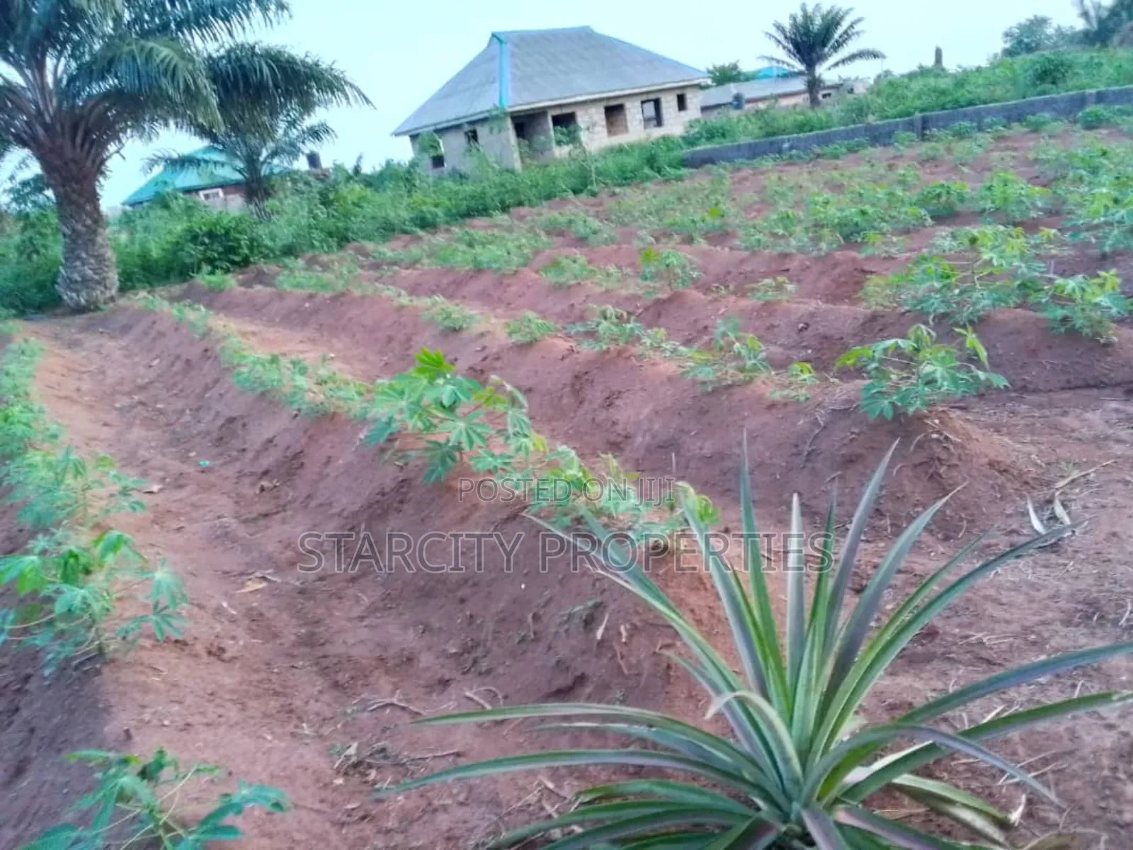 2 Acres of Fertile Land Available for Rent in Imota Ikorodu in Ikorodu