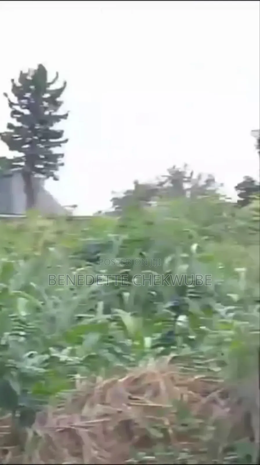 For Sale: 100 Plots of Land for Sale. in Port-Harcourt