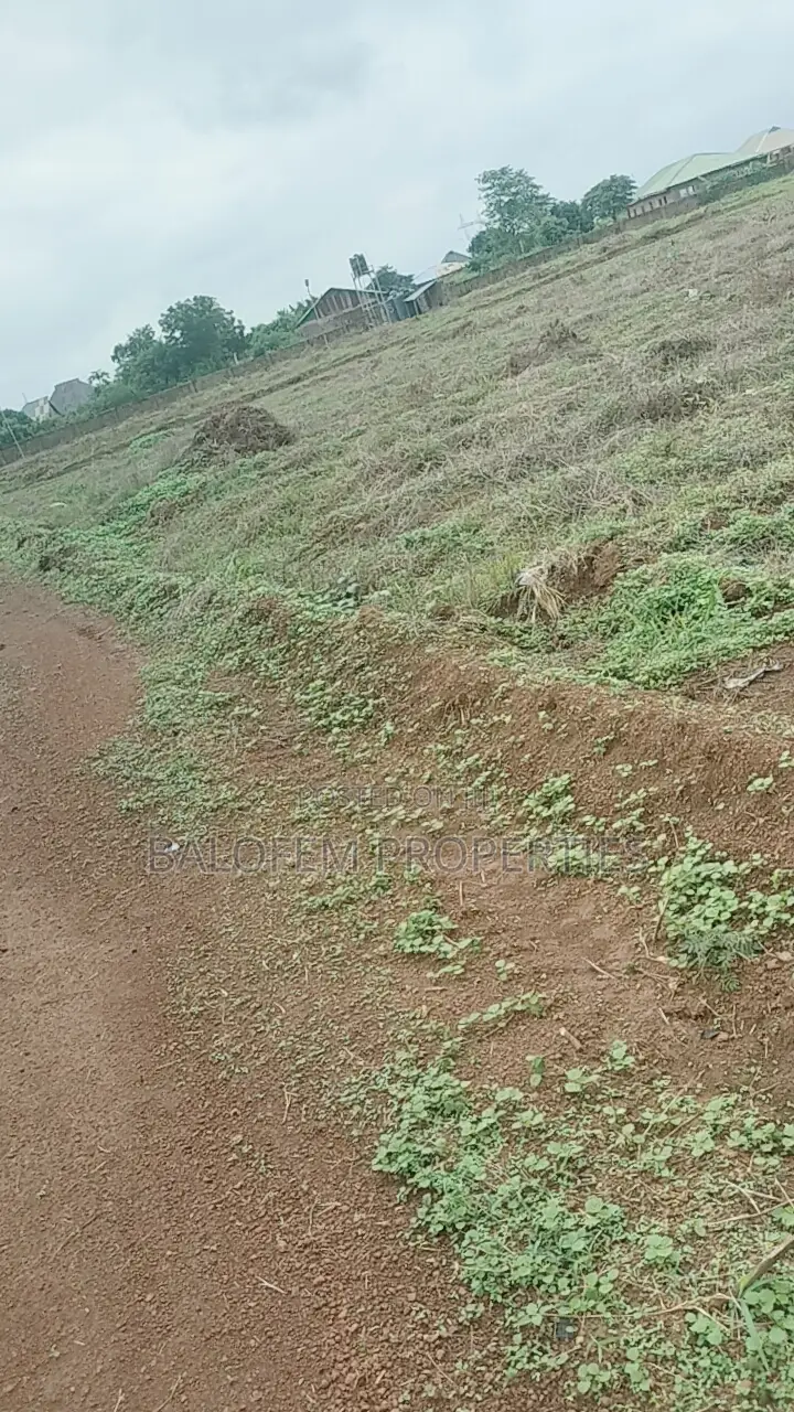 Land for Sale in Ewekoro