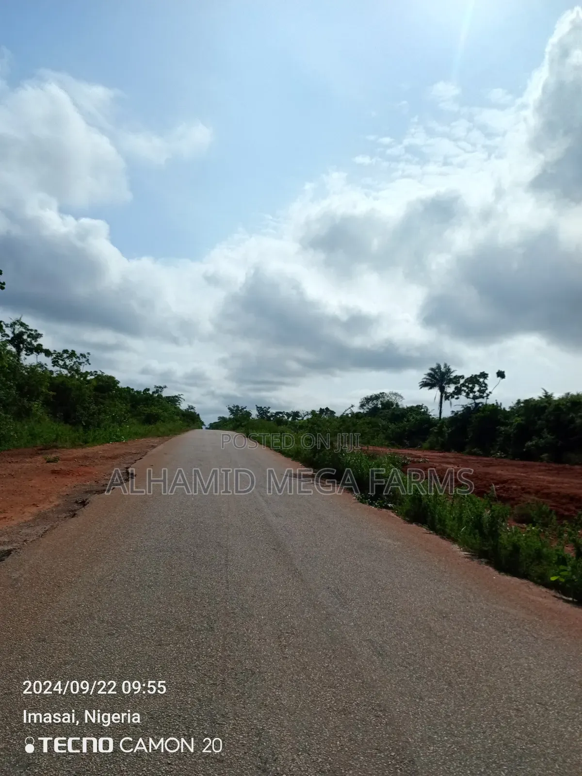 100 Acres of Farmland for Sale in Ilaro
