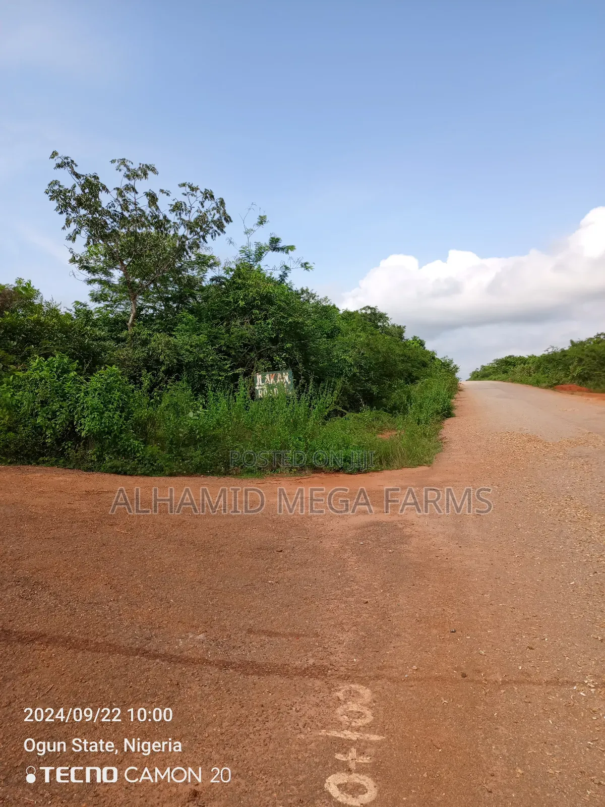 100 Acres of Farmland for Sale in Ilaro
