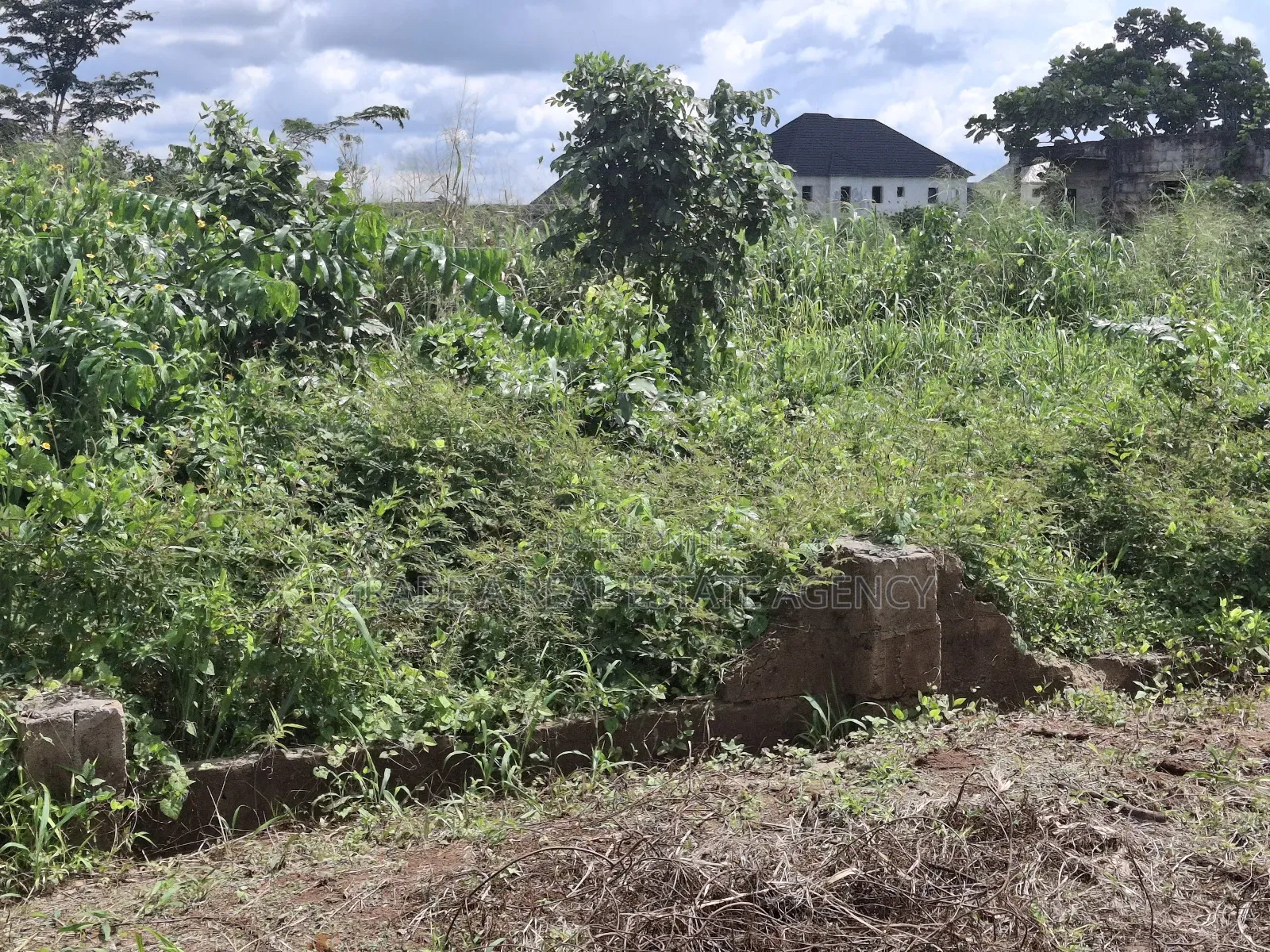 Land for Sale at Orji Town Annex Ibc Quarters in Owerri