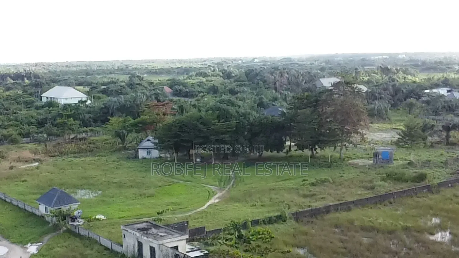 Investors Dream in Bogije