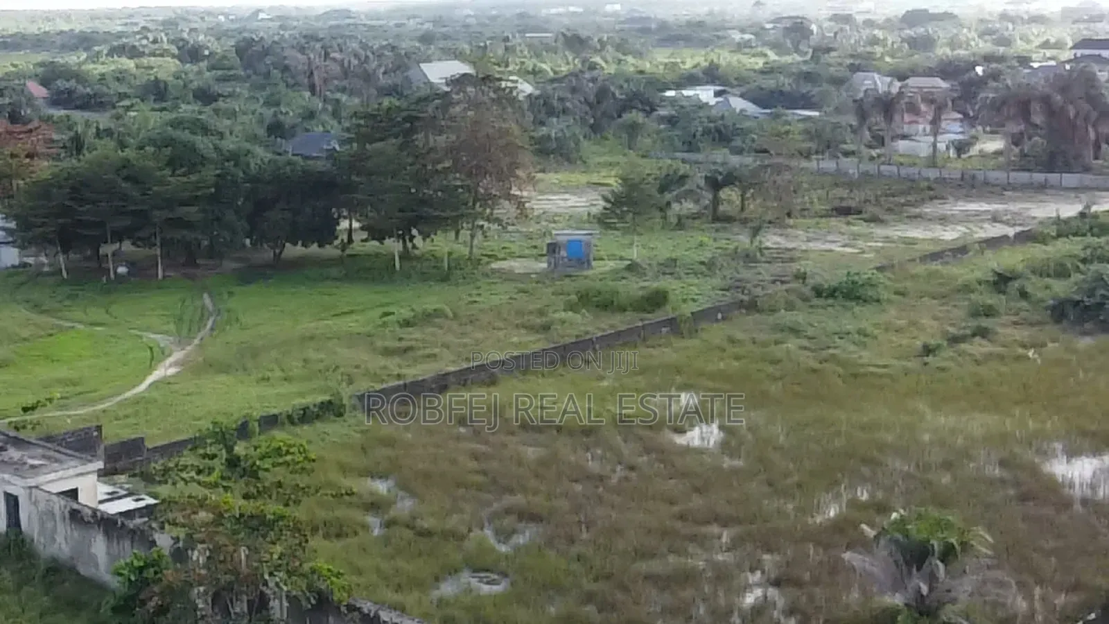 Investors Dream in Bogije