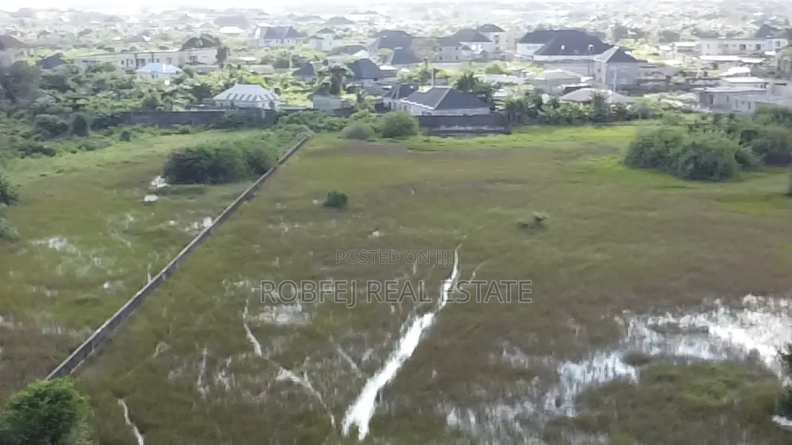 Investors Dream in Bogije