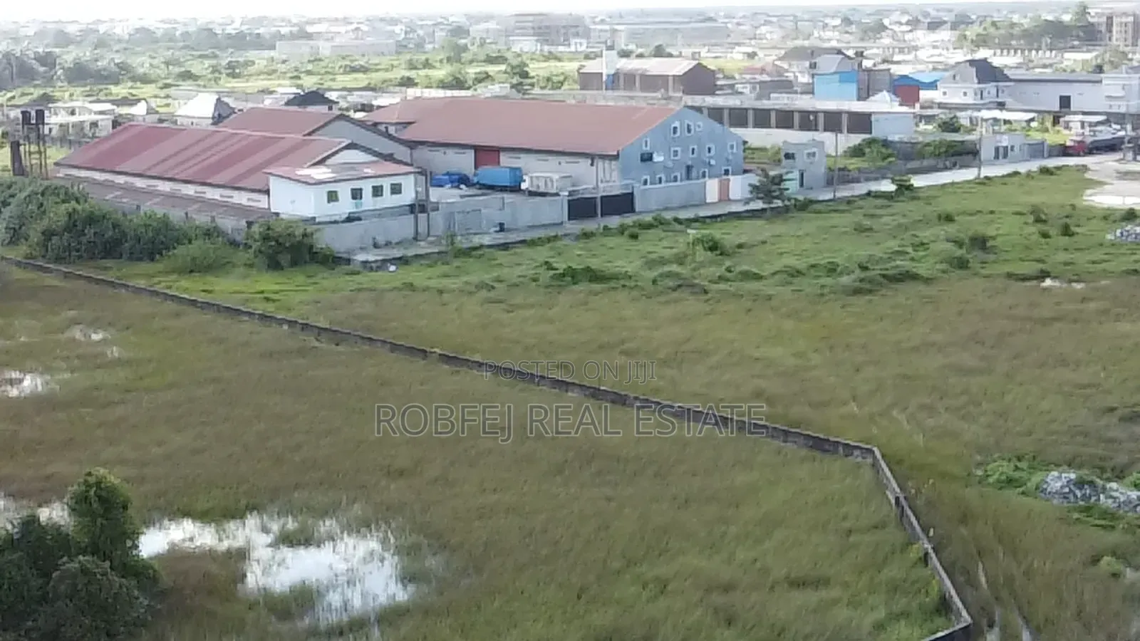 Investors Dream in Bogije
