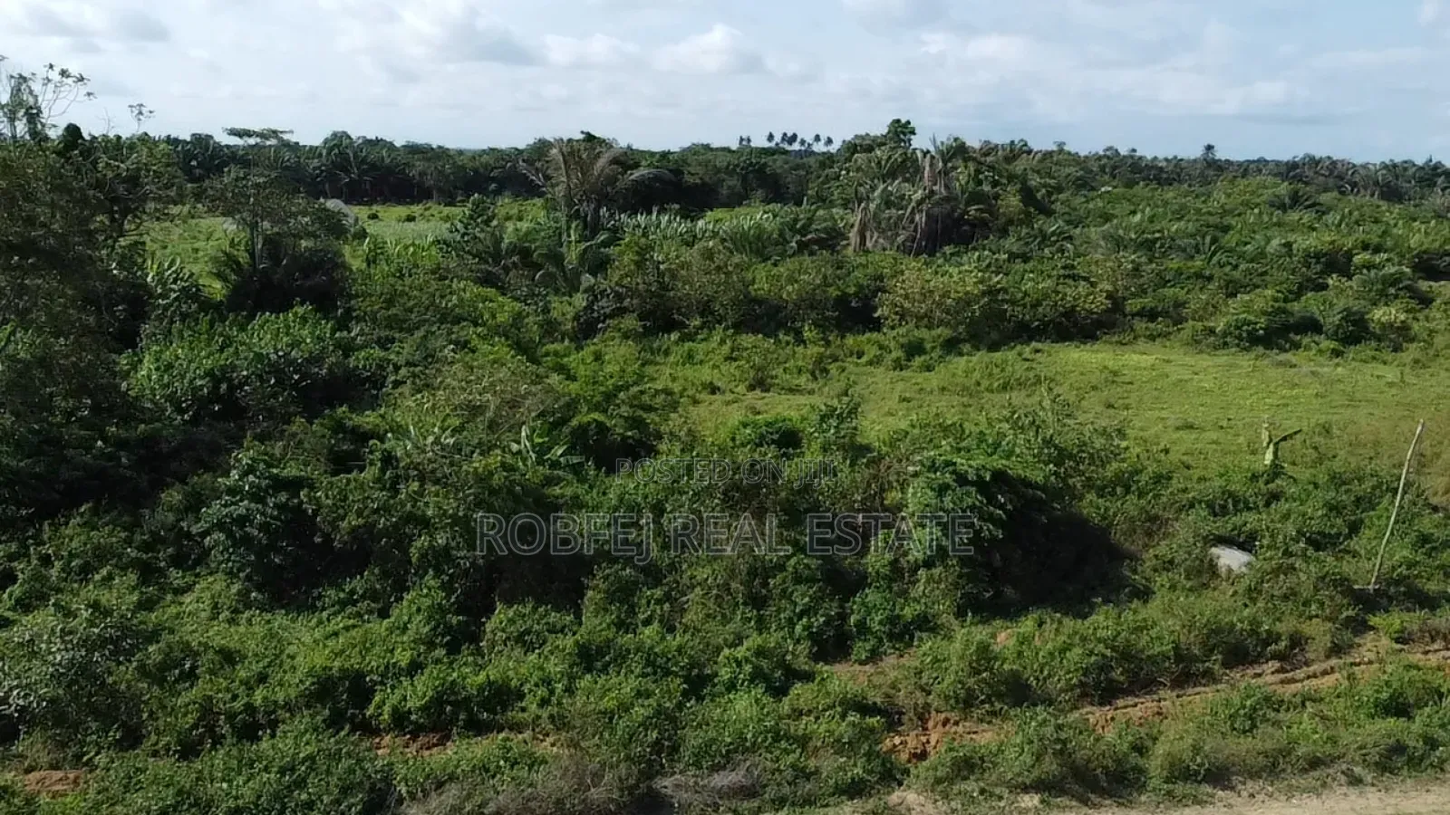 Investors Delight in Epe Road