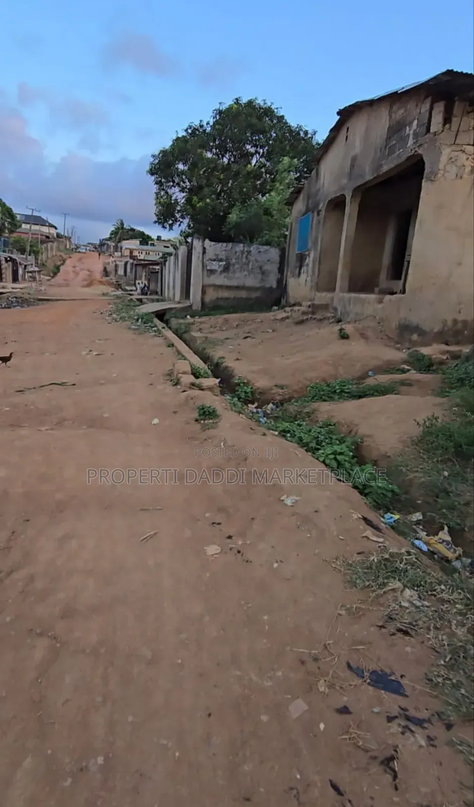 Dry Virgin Land in a Very Good Location for Sale in Ayobo