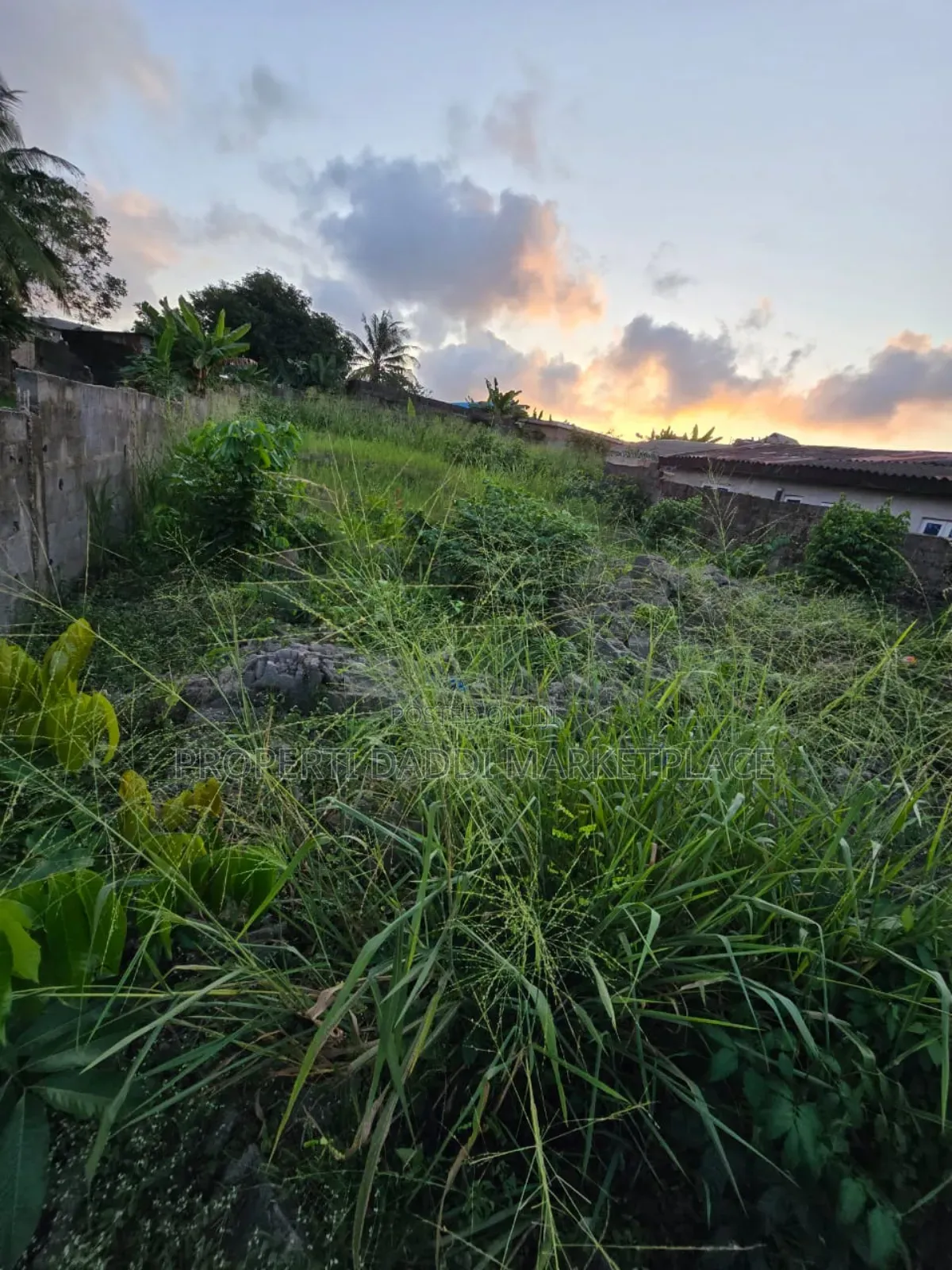 Dry Virgin Land in a Very Good Location for Sale in Ayobo