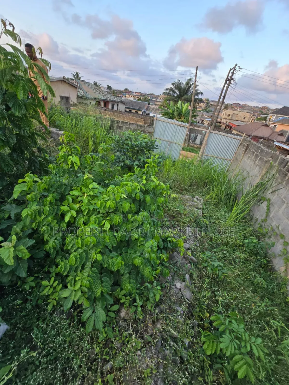 Dry Virgin Land in a Very Good Location for Sale in Ayobo