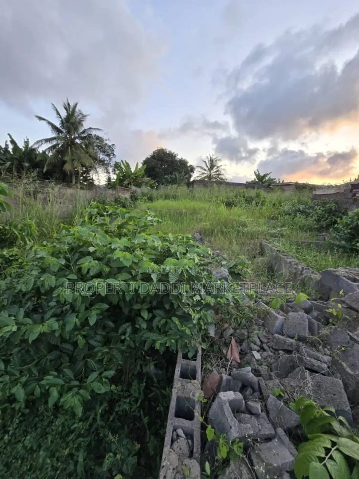 Dry Virgin Land in a Very Good Location for Sale in Ayobo