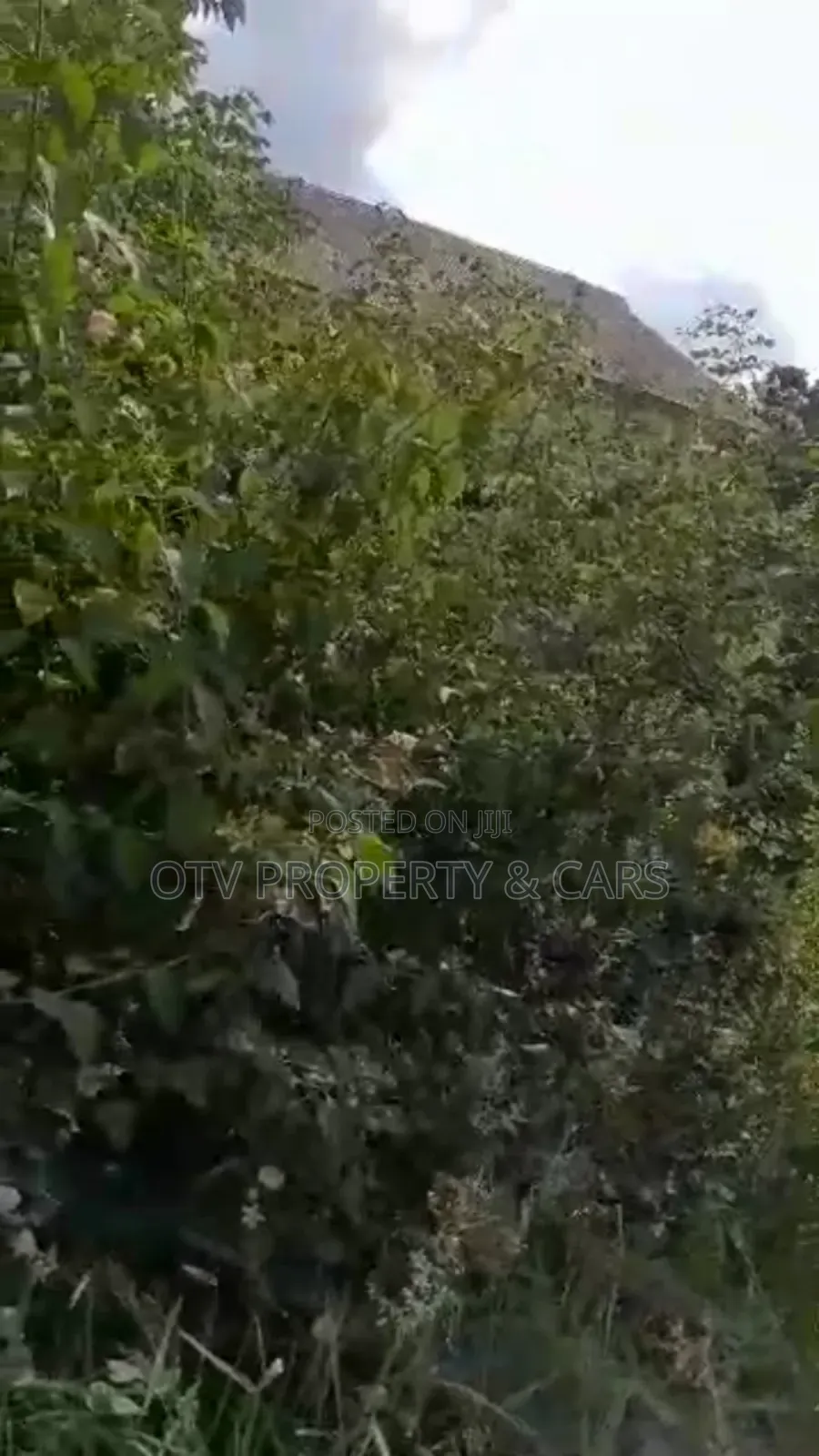 Dry and Table Land Prime Location for Sale* * in Ikeja