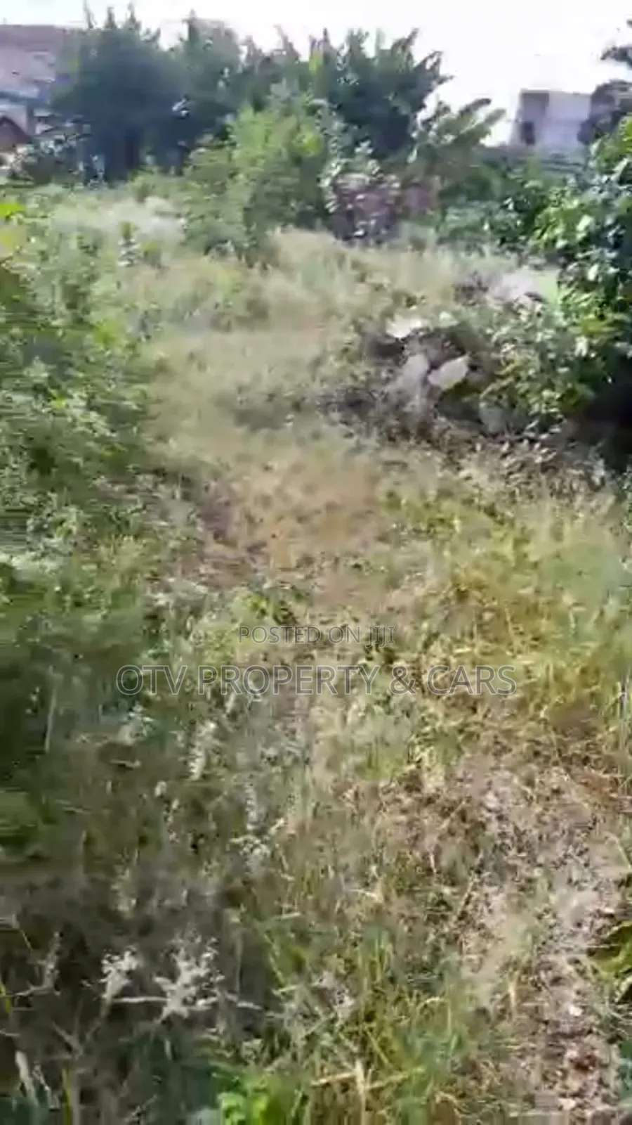 Dry and Table Land Prime Location for Sale* * in Ikeja