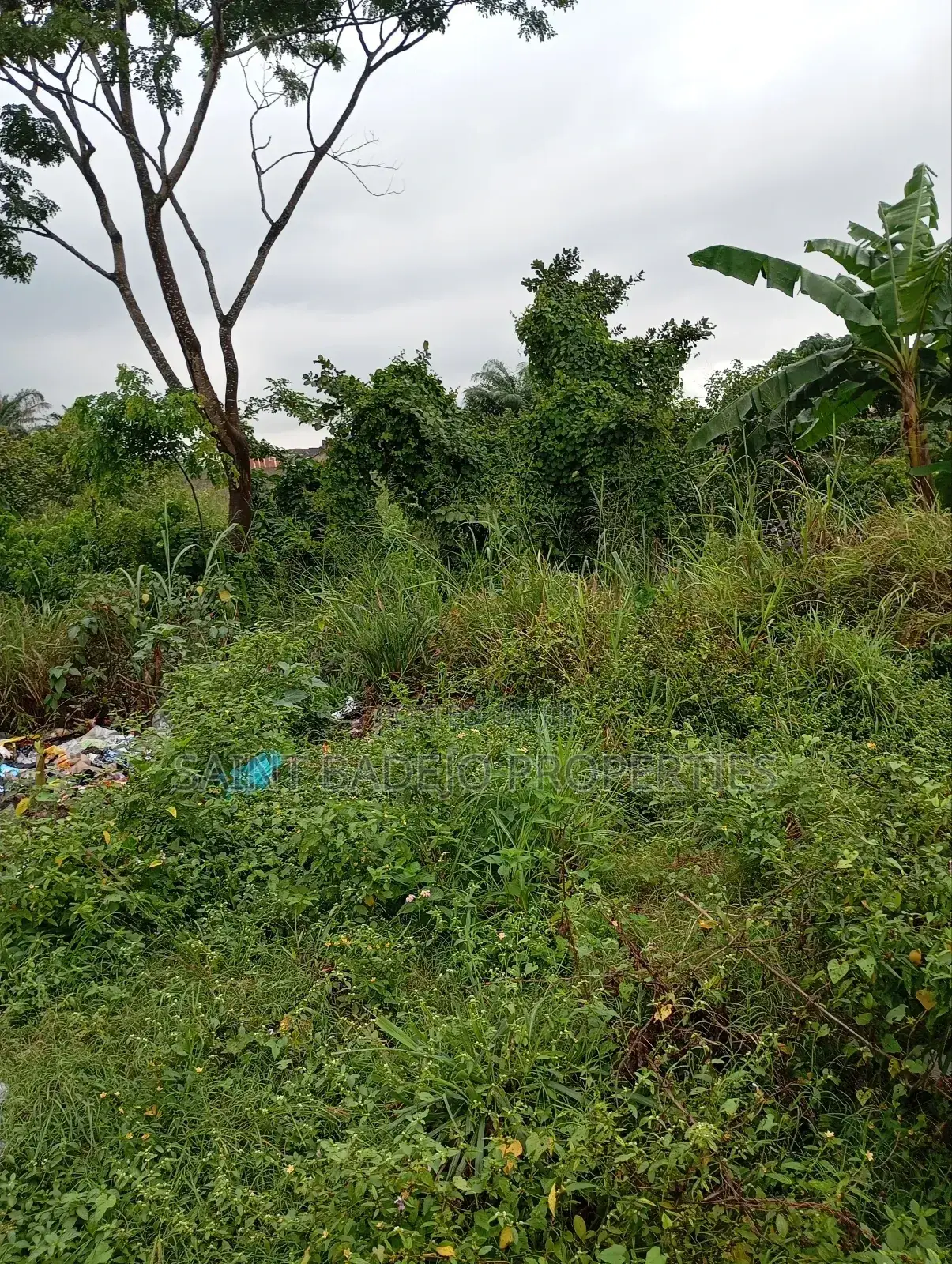 Half Plot of Land for Sale in Ikorodu