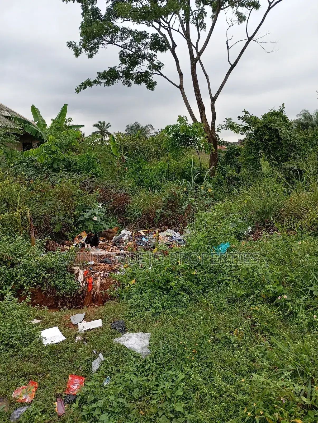 Half Plot of Land for Sale in Ikorodu