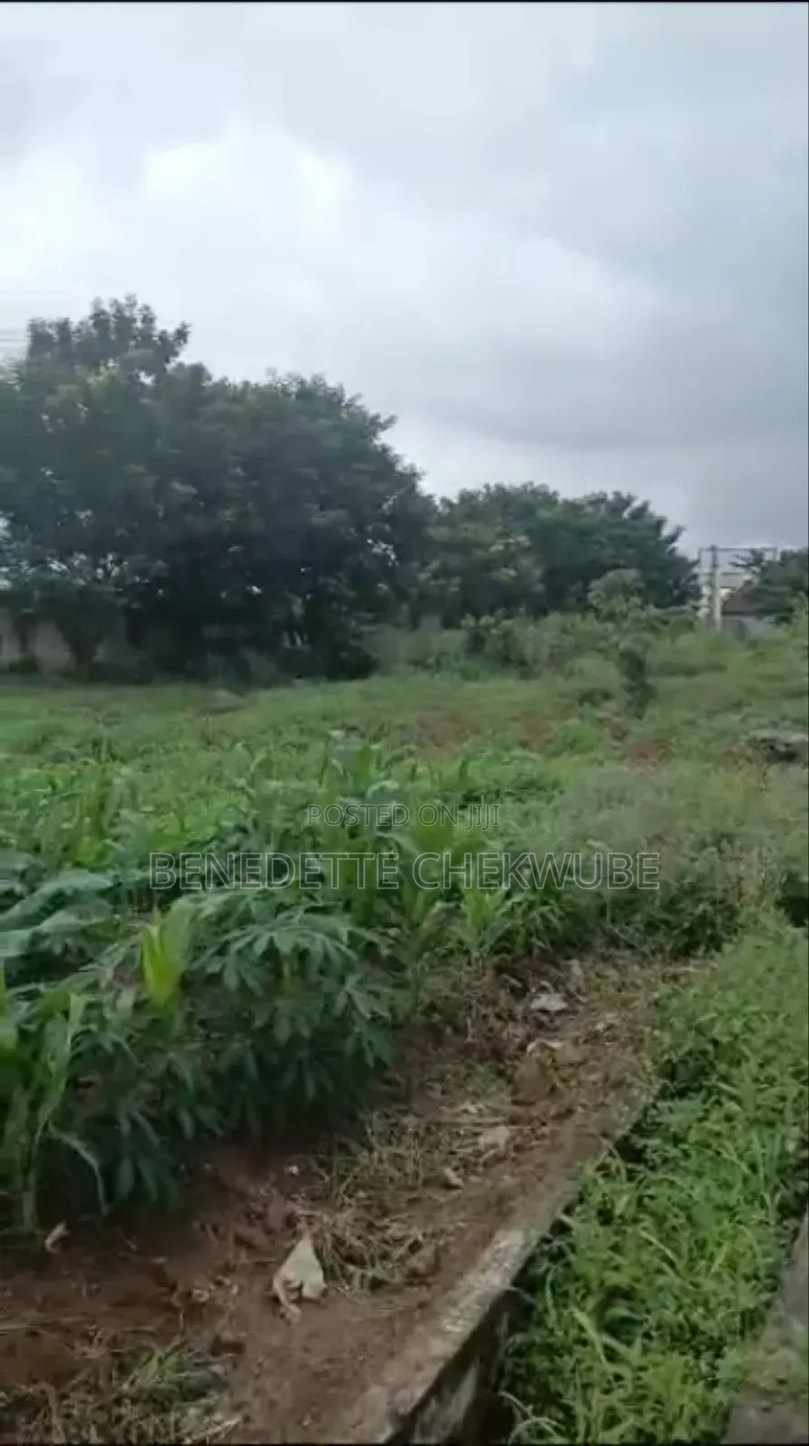 For Sale : 2 and Quater Plots Land in Enugu