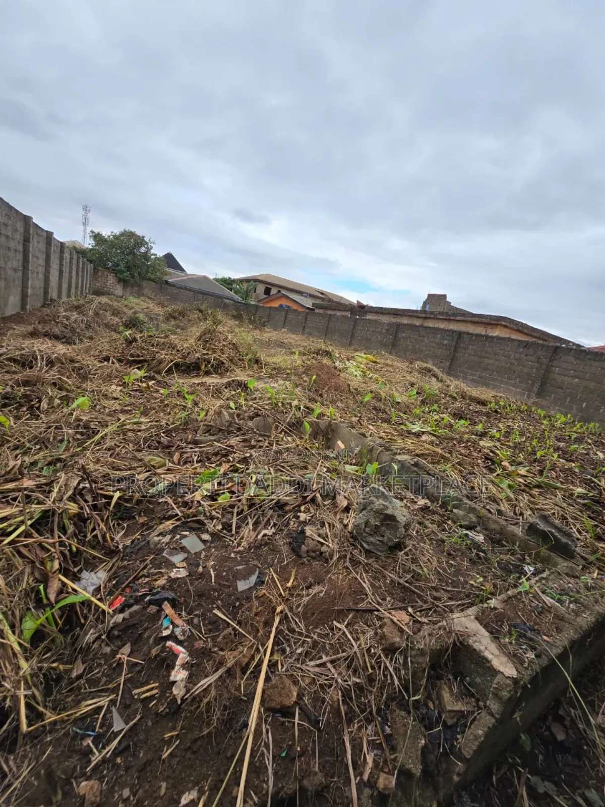 Dry Virgin Land for Sale in Baruwa