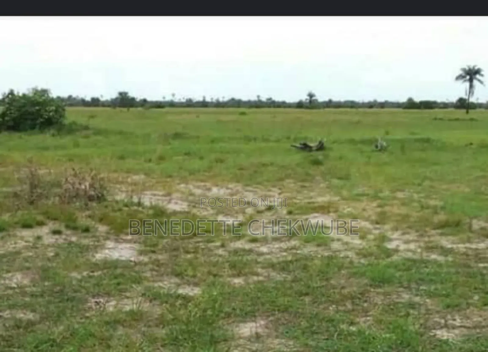 For Sale: Land for Sale in Enugu