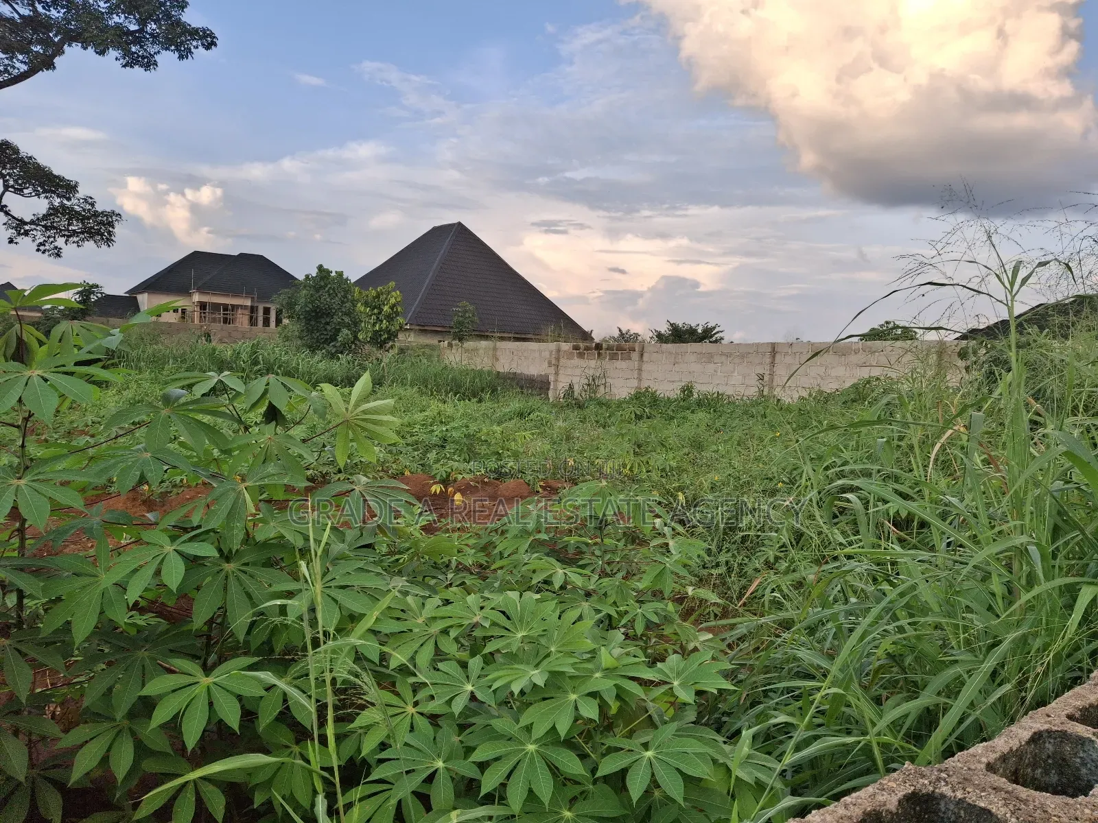 Land for Sale at Orji Town Annex Around Ibc Quarters Orji in Owerri