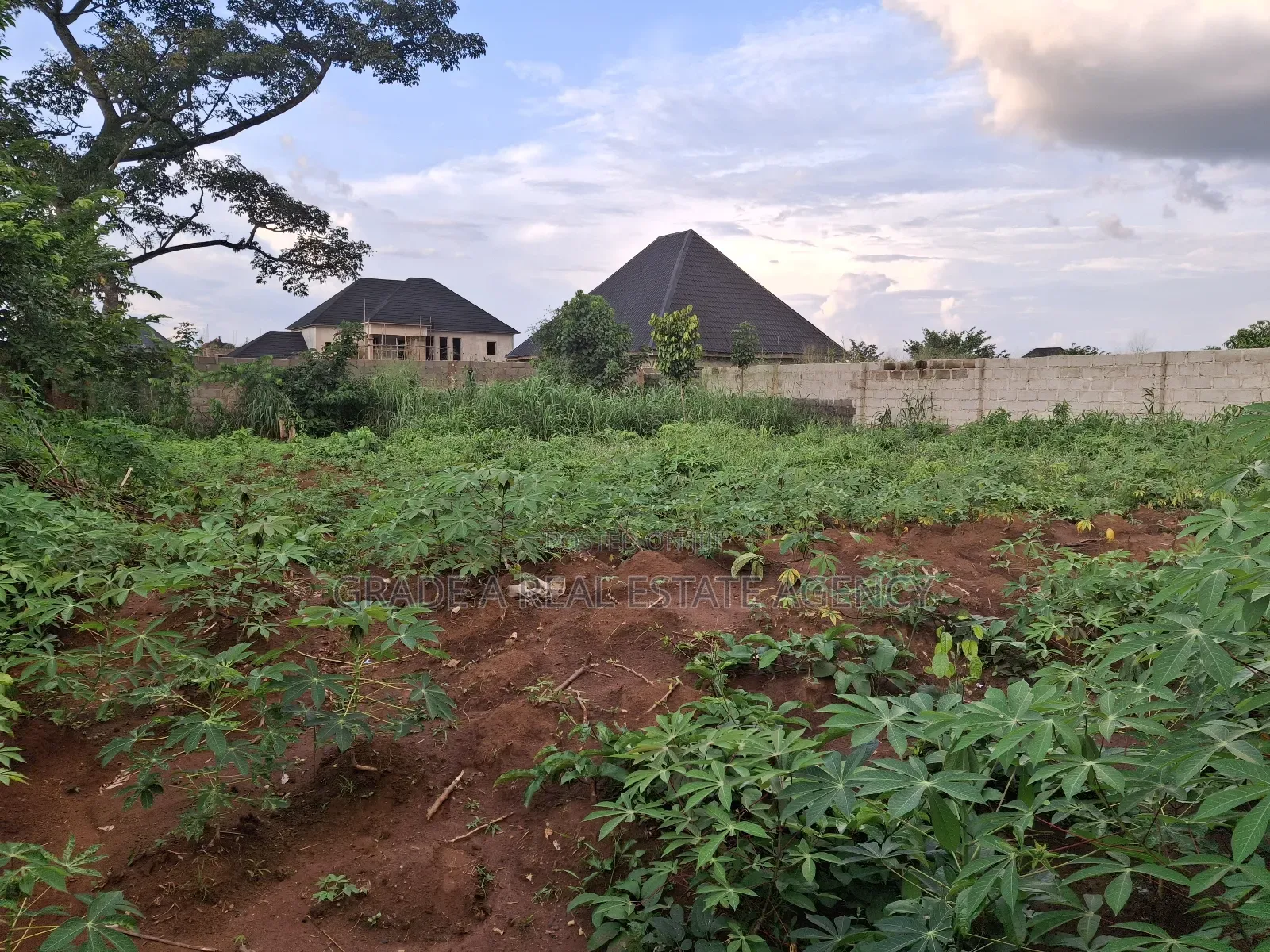 Land for Sale at Orji Town Annex Around Ibc Quarters Orji in Owerri