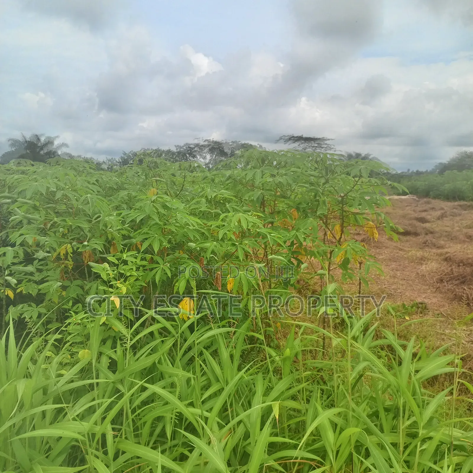 Waterfront Plots of Land for Sale in Port-Harcourt