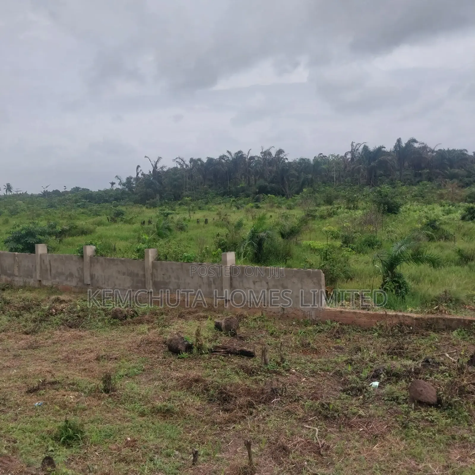 Buy 10 Plots and Get 1plot Free in Epe