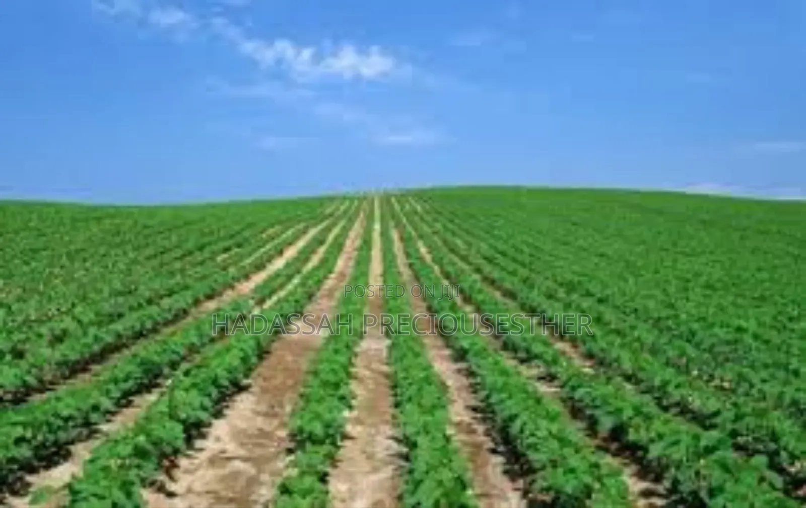Hectares of Land for Real Estate Companies in Uyo in Uyo