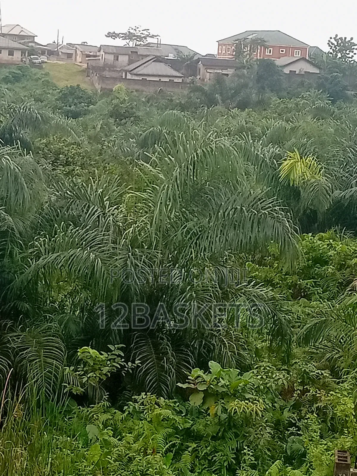 Acres of Land Along Lagos-Ibadan Expressway in Pakuro