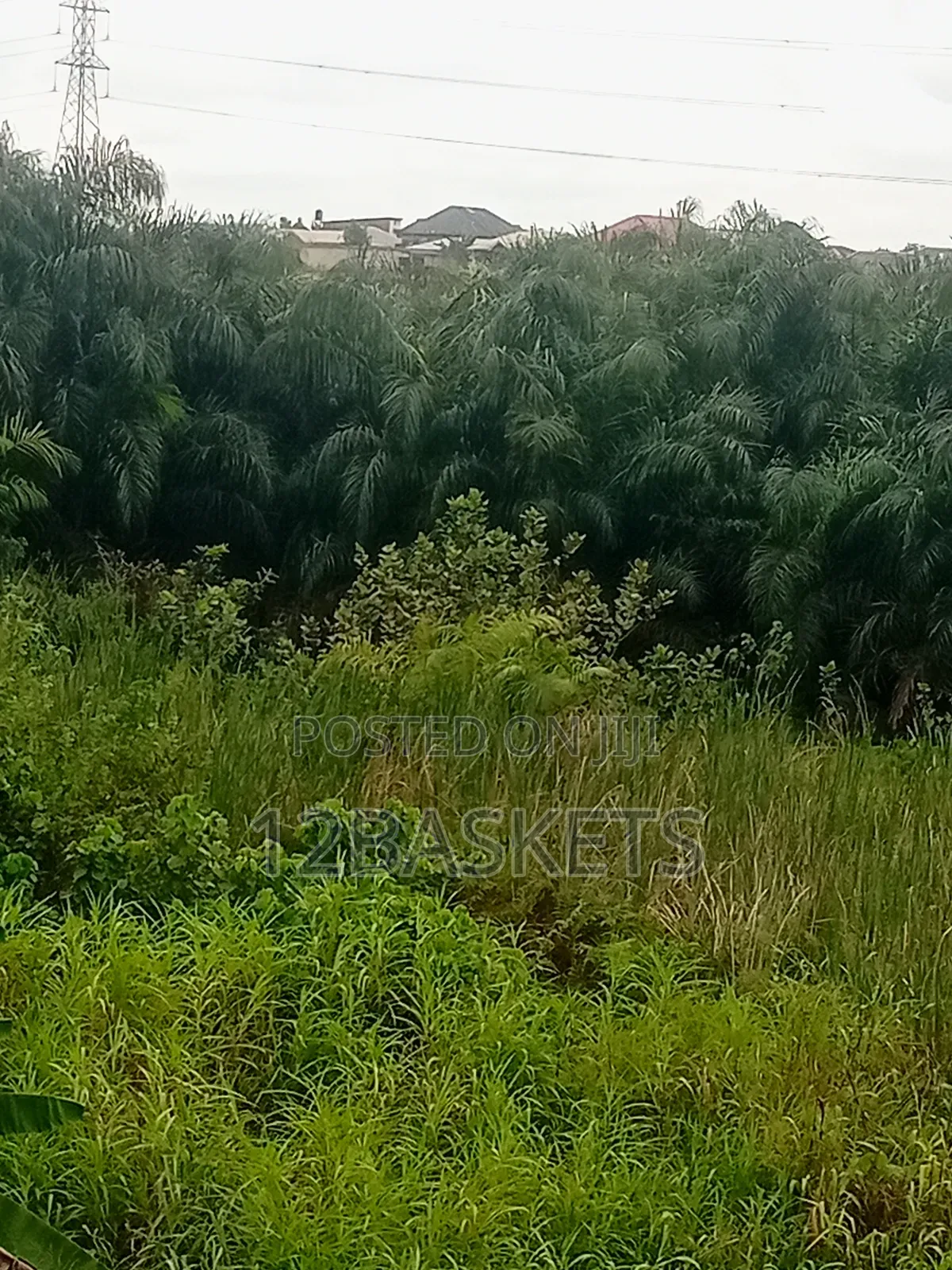 Acres of Land Along Lagos-Ibadan Expressway in Pakuro