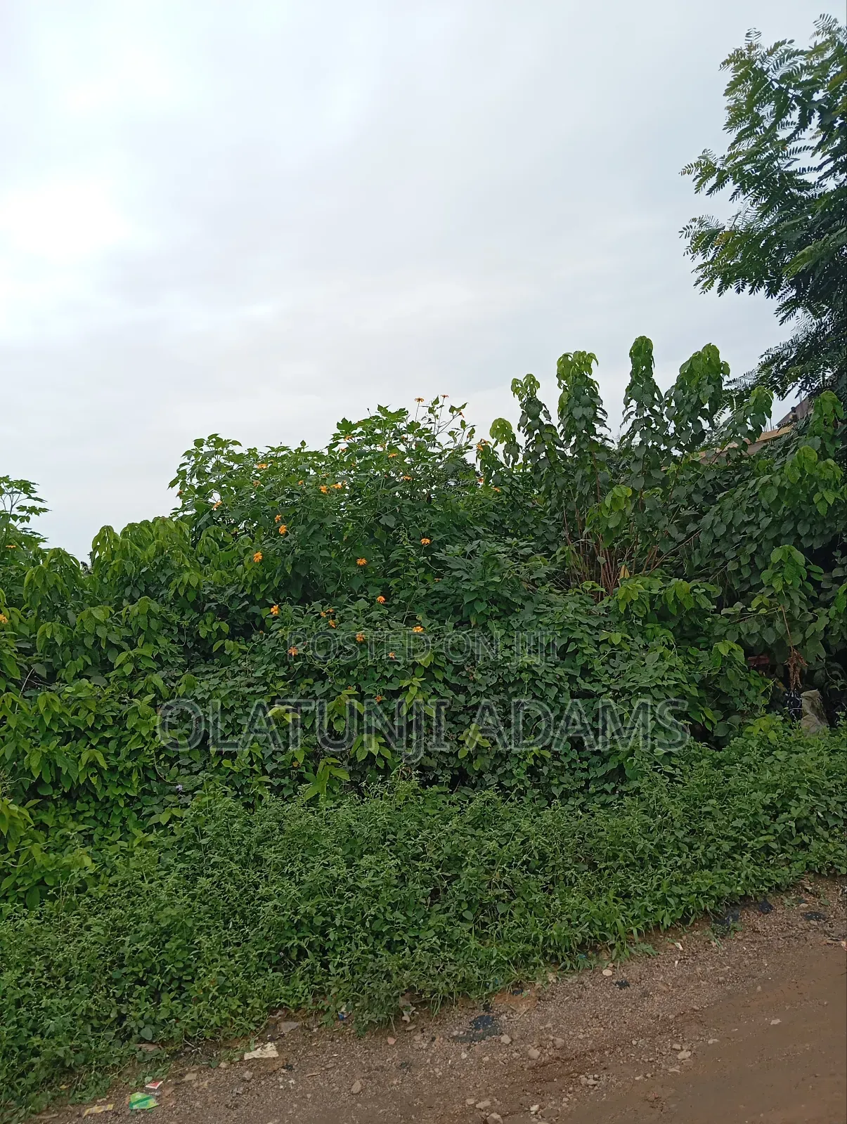 2000acres of Farmland at Ogbaga/Gbongan in Osogbo