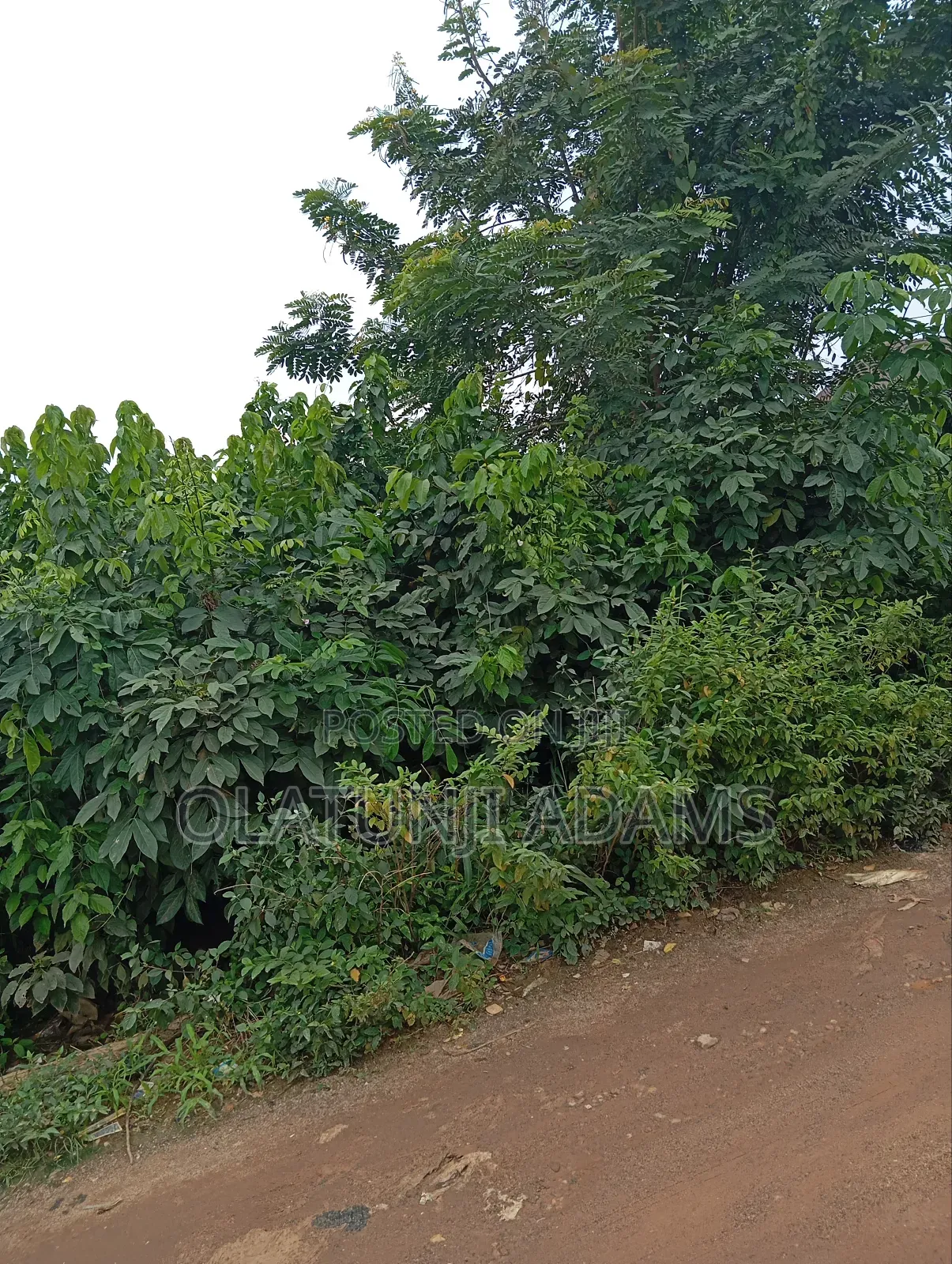 2000acres of Farmland at Ogbaga/Gbongan in Osogbo