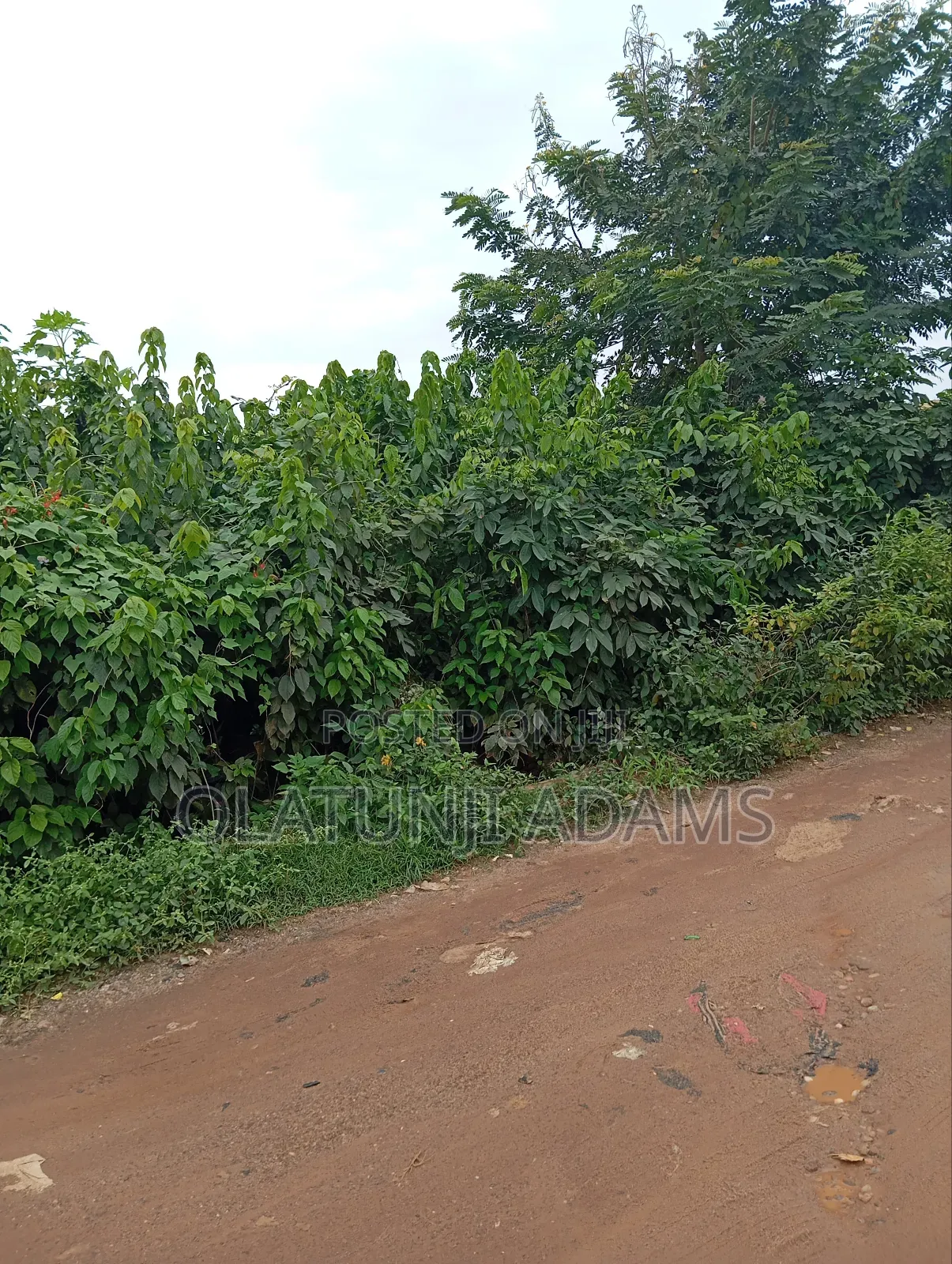 170acrea of Farmland at Osuntedo in Osun State in Osogbo