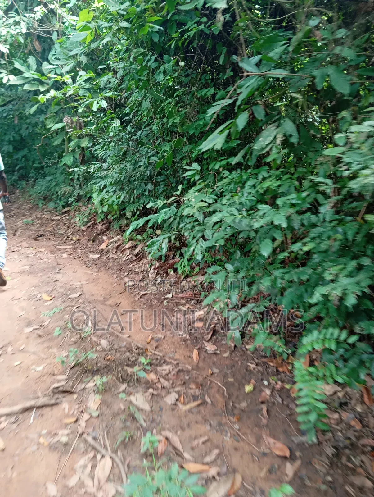 10acees of Farmland at Osuntedo in Osogbo