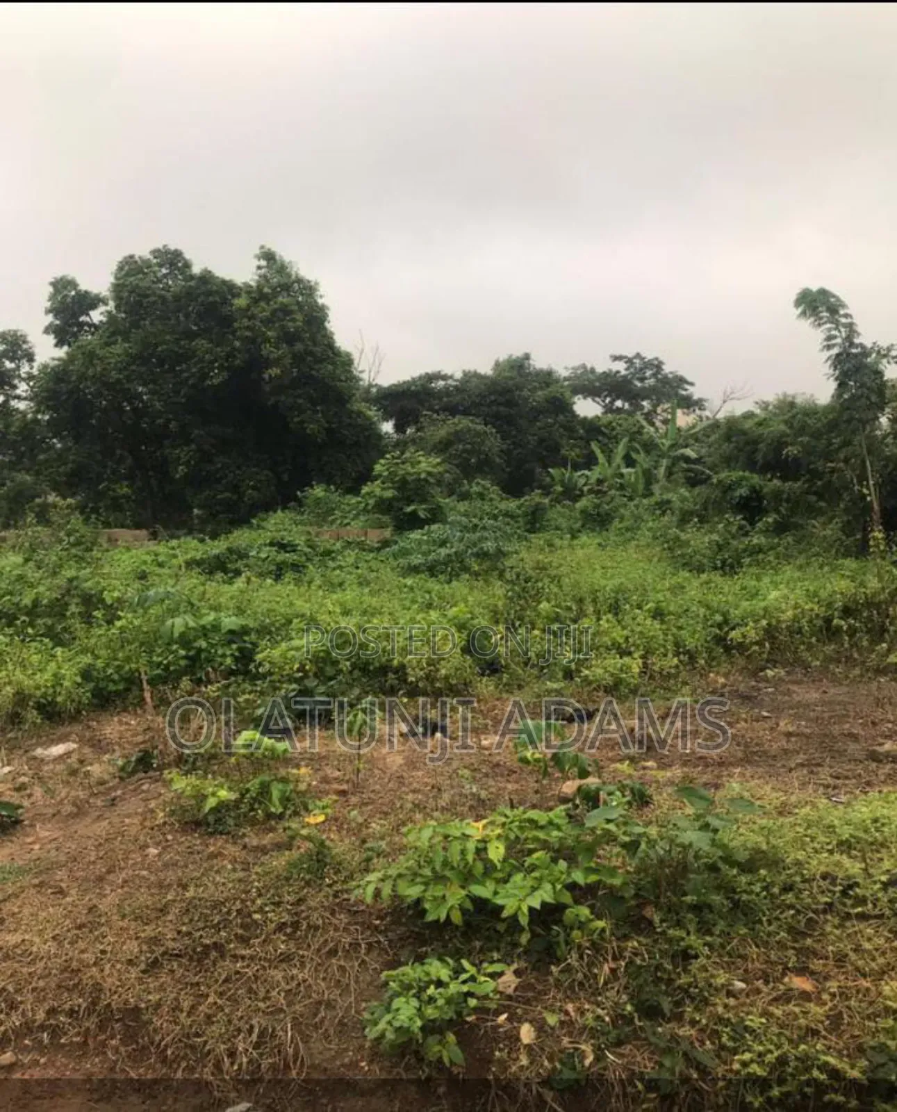 10acees of Farmland at Osuntedo in Osogbo