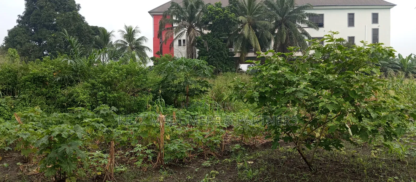 For Sale: Fenced and Gated Cofo 15 Plots at Rumuigbo in Port-Harcourt