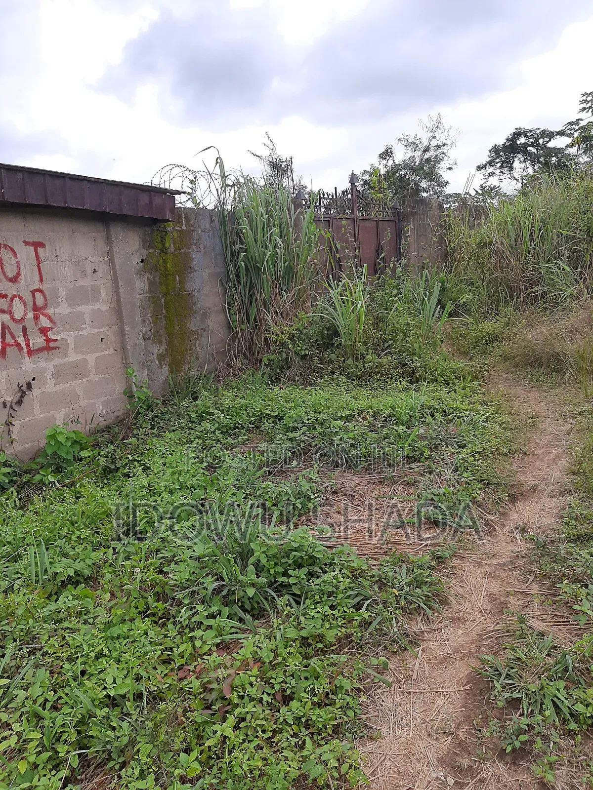 Plots of Land Measuring 600 SQM in Ifo Coker Ogun State in Ifo